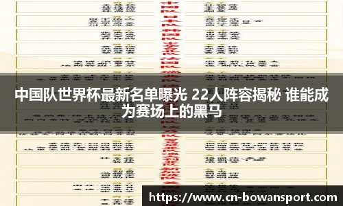 中国队世界杯最新名单曝光 22人阵容揭秘 谁能成为赛场上的黑马