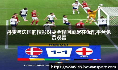 丹麦与法国的精彩对决全程回顾尽在优酷平台免费观看