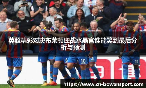 英超精彩对决布莱顿迎战水晶宫谁能笑到最后分析与预测