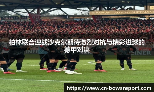 博万体育